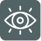 Vision Icon